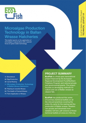 EcoFish Ballan Wrasse Project - Microalgae Production Technology in Ballan Wrasse Hatcheries
