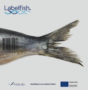Labelfish Leaflet