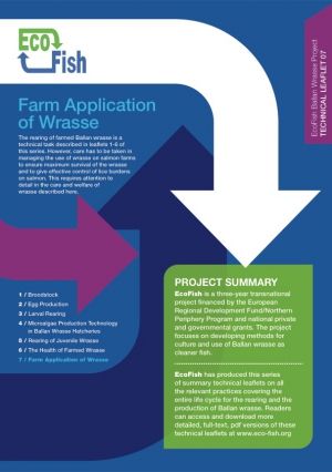EcoFish Ballan Wrasse Project - Farm Application of Wrasse